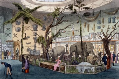 Bullocks Museum, 22 Piccadilly, London, från Ackermanns Repository of Arts, 1809 av English School