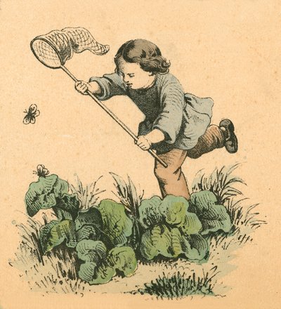 Butterflying av English School