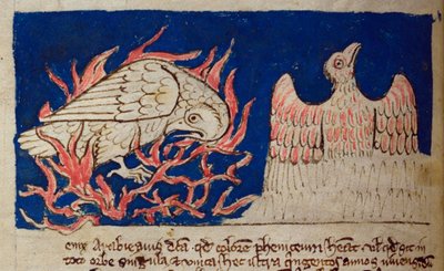 CCA-LitMs/D/10 fol. 17v Pheonix, från Bestiary av English School