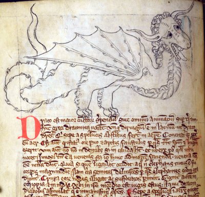 CCA-LitMs/D/10 fol. 24v Dragon, från Bestiary av English School