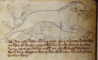 CCA-LitMs/D/10 fol. 3v Leucrota, från Bestiary av English School