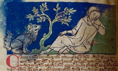 CCA-LitMs/D/10 fol. 5v Dog, från Bestiary av English School
