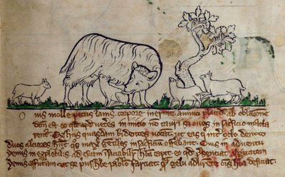 CCA-LitMs/D/10 fol. 8r Får, från Bestiary av English School