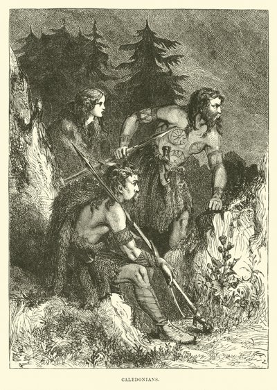kaledonier av English School