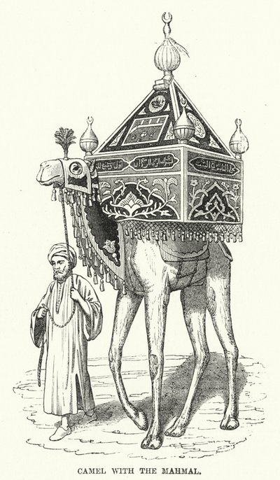Kamel med Mahmal (gravyr) av English School