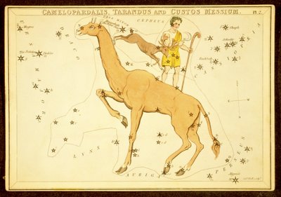Camelopardalis, Tarandus und Custos Messium, veröffentlicht 1825 von English School