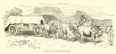 Cape Bullock-vagn av English School
