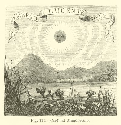 Kardinal Mandruccio av English School