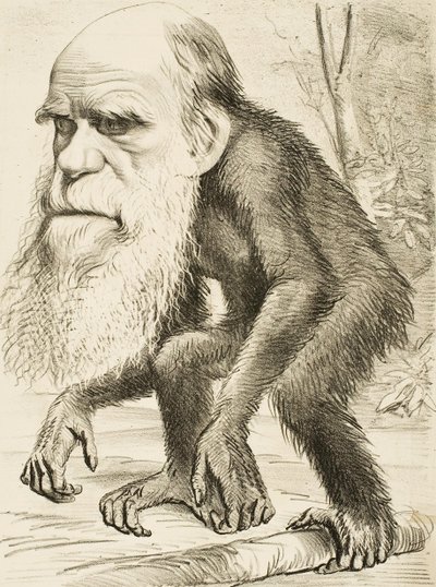 Karikatyr av Charles Darwin av English School