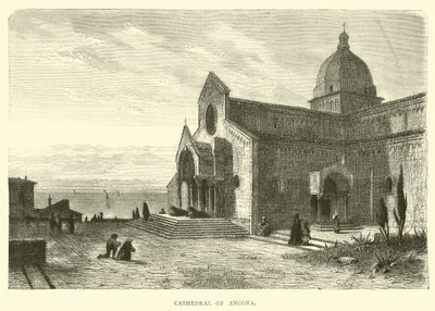 Anconas katedral av English School