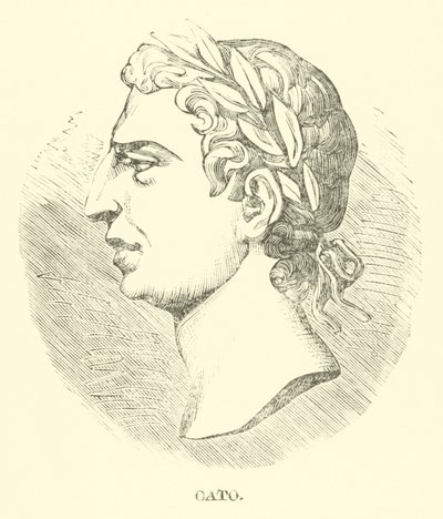 Cato av English School