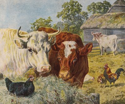 Nötkreatur och kycklingar (färg litho) av English School