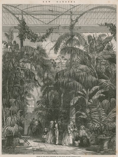 Center of the Great Palm House vid Royal Botanic Gardens of Kew av English School