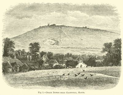 Chalk Downs nära Clanfield, Hants av English School