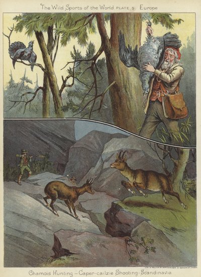 Gemssjakt och kapris-cailzie-skytte av English School
