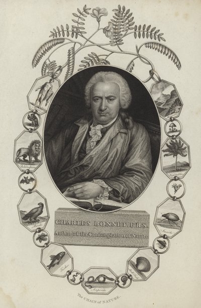 Charles Bonnet av English School