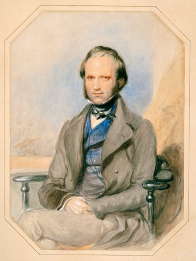 Charles Darwin (akvarell på papper) av English School
