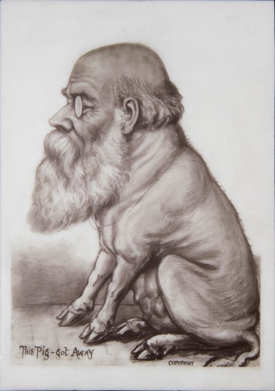 Charles Darwin-plakett, ca 1870 (keramik) av English School