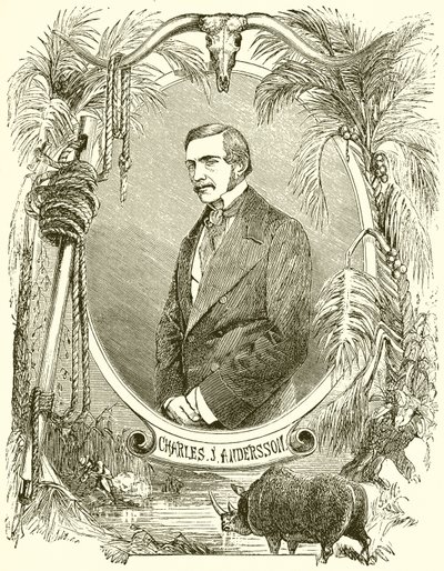 Charles J Andersson av English School