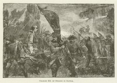 Karl XII av Sverige i strid av English School
