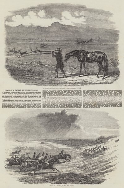 Chase of a Jackal, in the New Forest (gravyr) av English School