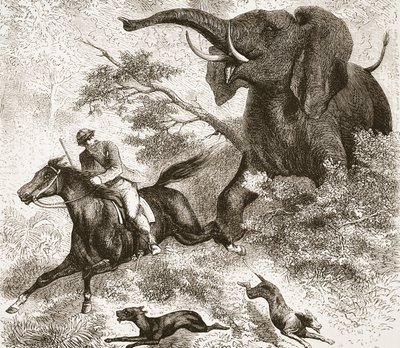 Jagad av en elefant, illustration från The Pictorial Edition av David Livingstones liv och upptäckter av J. Ewing Richie, pub. av A. Fullarton & Co., 1876 av English School