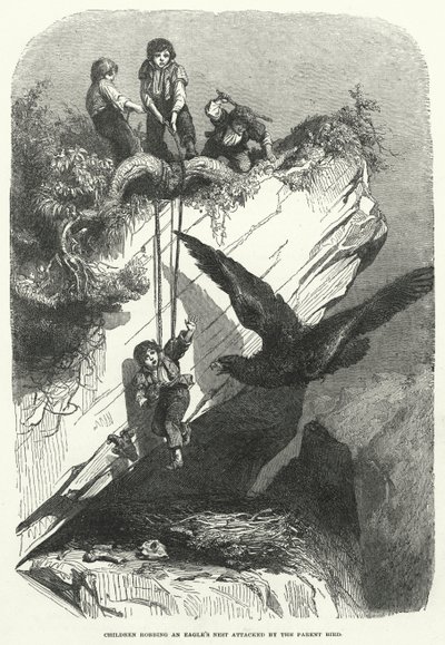 Kinder, die ein Adlernest ausrauben, werden vom Elternvogel angegriffen (Gravur) von English School