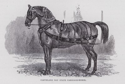 Cleveland Bay State Carriage-Horse (gravyr) av English School