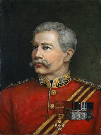 Överste Hugh Shaw VC CB, Royal Irish Regiment, 1885 av English School
