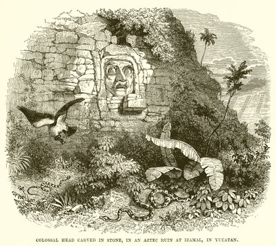 Kolossalt huvud hugget i sten, i en aztekisk ruin vid Izamal, i Yucatan av English School