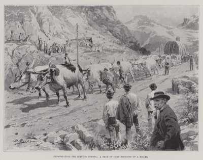 Bygger Simplon-tunneln, ett team av oxar som tar upp en panna (litho) av English School