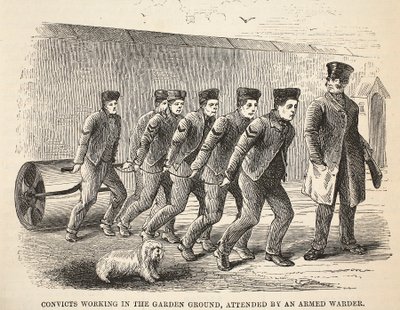 Fångar som arbetar i trädgården, med en beväpnad vaktmästare, illustration från The Criminal Prisons of London och Scenes from Prison Life av Henry Mayhew och John Binny, pub. 1862 av English School