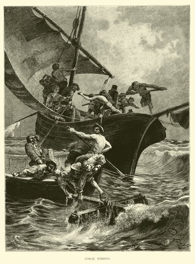 Korallfiske av English School