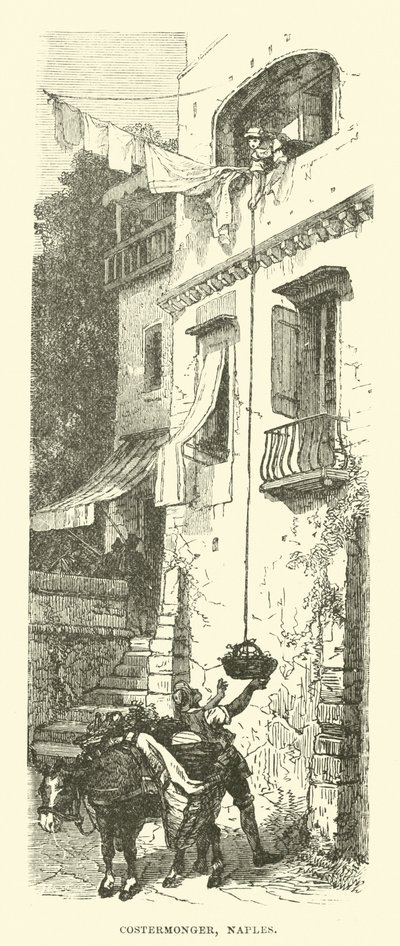 Costermonger, Neapel av English School