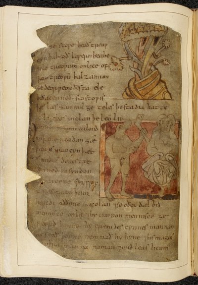 Bomull Vitellius A. XV f.103v, Ett träd från vilket balsam växer; en donestre, en man med djurhuvud, till vänster som håller ett mänskligt ben och fot, och en person till höger, illustration från Beowulf, från 