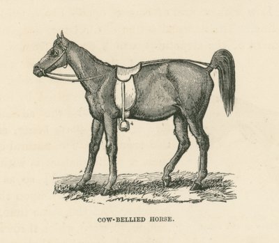 Cow-Bellied Horse (gravyr) av English School