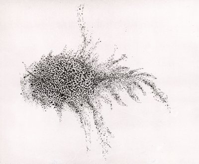 "Krabbnebulosan" av William Parsons, från "Observations on some of the Nebulae" från "Philosophical Transactions of the Royal Society av English School