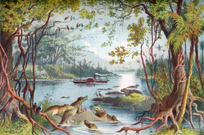 David Livingstones skepp The Ma-Robert på Zambezifloden, Afrika, under hans Zambeziexpedition på 1800-talet. Från The Life and Explorations of Dr. Livingstone publicerad c.1875. av English School