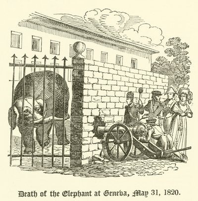 Elefantens död i Genève, 31 maj 1820 av English School