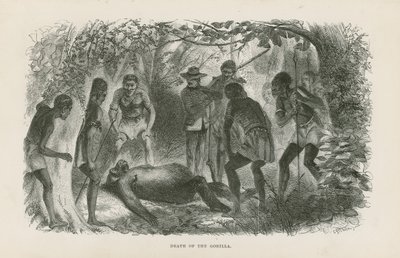 Gorillans död av English School