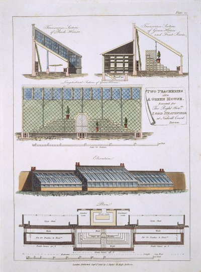 Design för två persikor och ett grönt hus, 1806 av English School