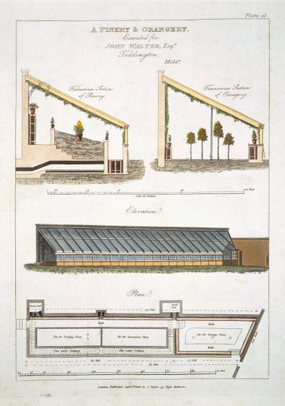 Design för ett pinery och orangeri i Teddington, 1806 av English School