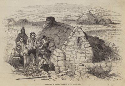Utödande i Irland, misslyckad potatisskörd av English School