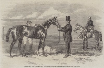 Diophantus, vinnaren av tvåtusenguinea-insatserna på Newmarket (gravyr) av English School