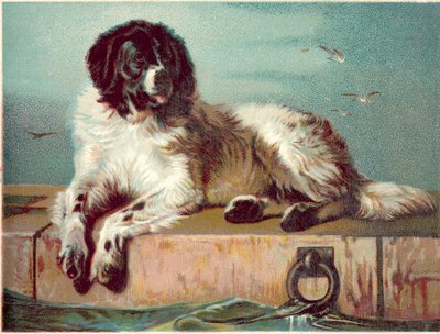 Hund som sitter på kanten av havet (kromolit) av English School
