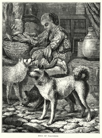 Dogs of Palestine (gravyr) av English School