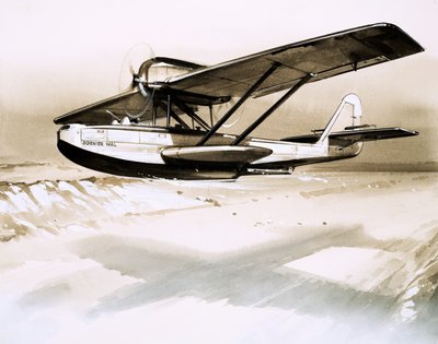 Dornier Wal, tvåmotorig tysk flygbåt av English School