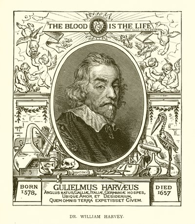 Dr William Harvey av English School
