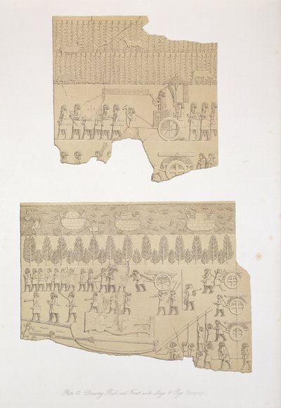 Drawing Bull, and Forest with Stags and Pigs, Kouyunjik, plåt 12 från Nineveh and its Remains av Austen Henry Layard (1817-94) publicerad 1849 av English School