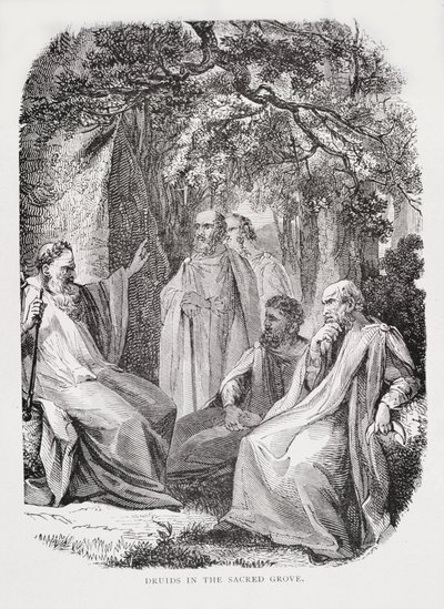 Druids in the Sacred Grove, från The History of France, av Emile de Bonnechose, utgiven av Ward, Lock and Co, London av English School